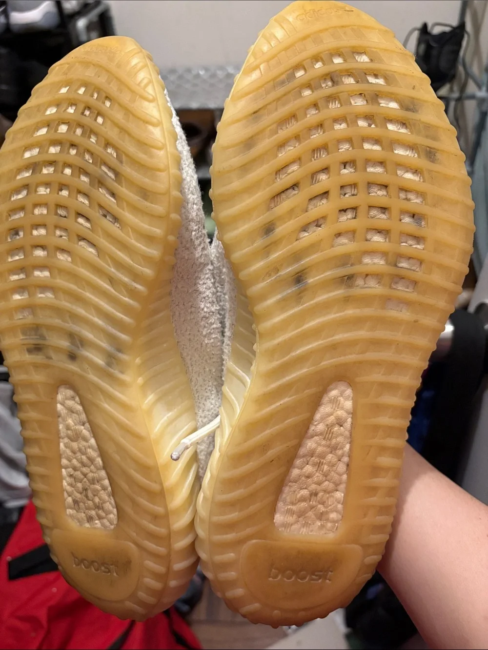 Yeezy authentic adidas